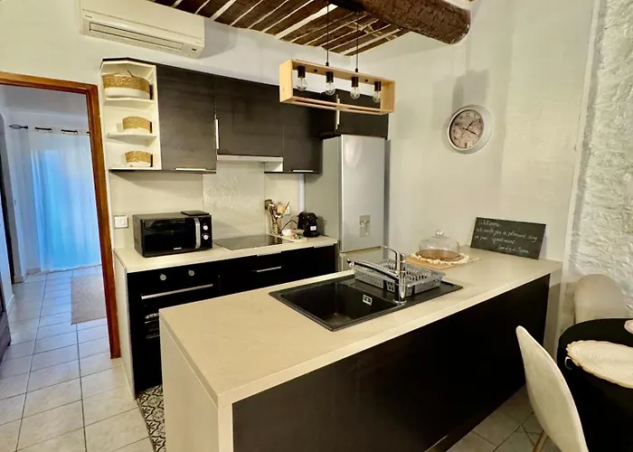 Apartamento 2 Pieces Vieil Antibes