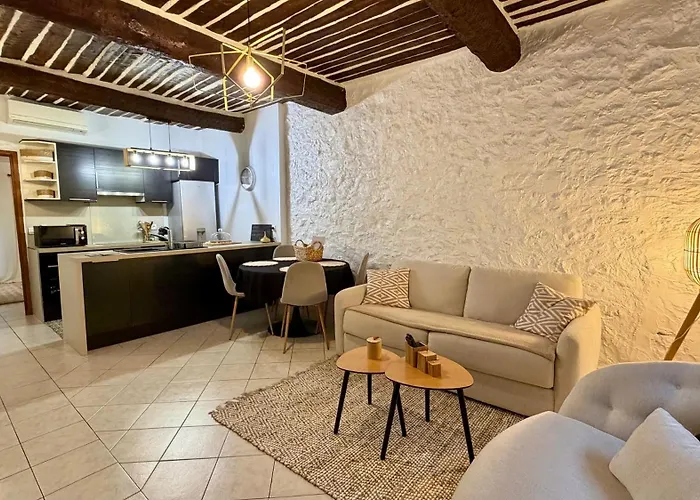 Apartamento 2 Pieces Vieil Antibes